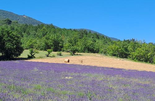 Domaine de Battarel, 4 hectares en Luberon - Foto 4