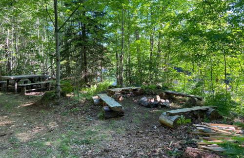 Secluded River Overlook Cabin on 160 acres. - Foto 9