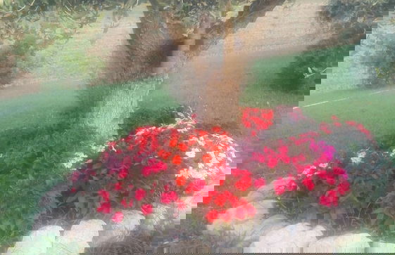 Agriturismo Antica Casa Scardone - Foto 63