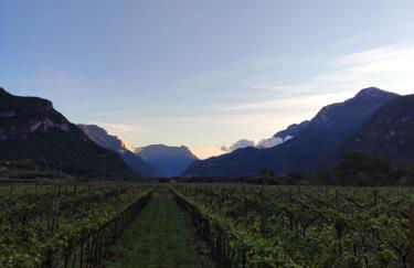 Agriturismo Revena - Foto 33