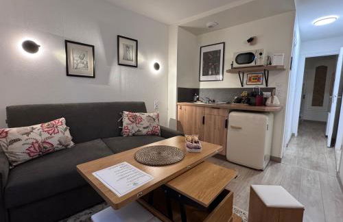 Appart Standing - La Coque d'Or - Mont-St-Michel - Foto 12