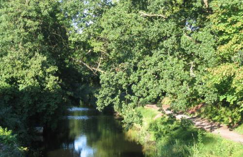 StayZen Apartments - Free Parking & Private Garden Ground Floor Central Woking - Business & Leisure - Photo 28