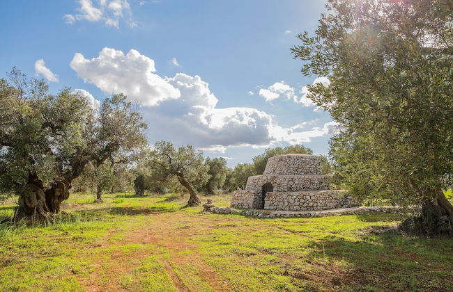 Azienda Agricola Spirdo - Foto 51