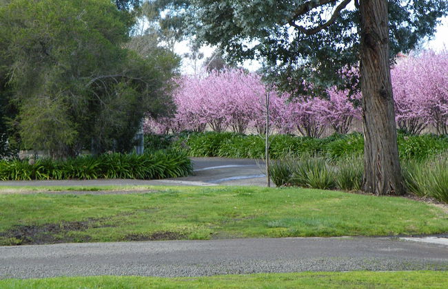 Lake Hamilton Motor Village & Caravan Park - Photo 38
