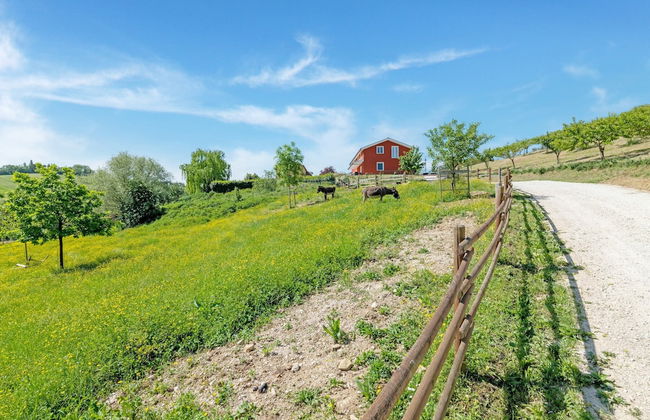 Country Escape in Matelica - Foto 57