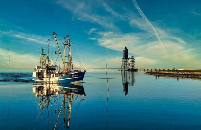 Sun, Mudflats and sea - Foto 18