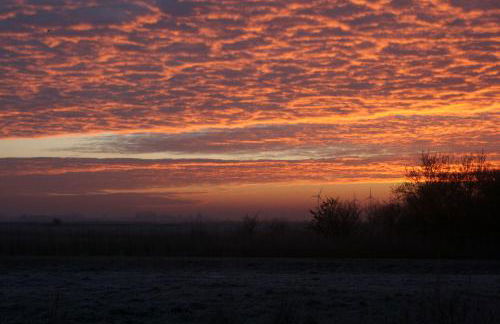 Ferienwohnung-SonnenMeer - Photo 21