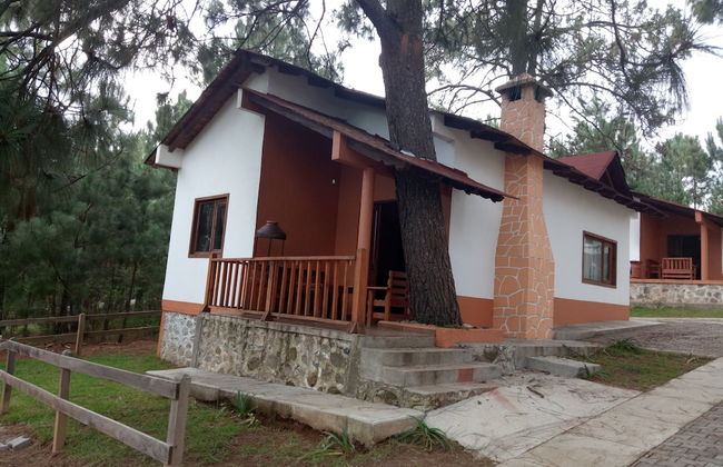 Cabañas del Bosque - Foto 19