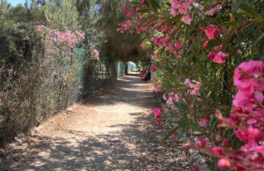 Casetta Marina Residence - Foto 27