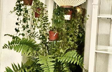 Casal Santa Virginia - Foto 14