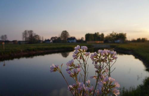 Drewniany Zakątek z sauną i jacuzzi - Foto 46