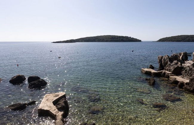 House Rasica - Foto 45