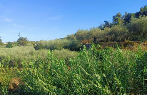 A Ca du Giaba - Foto 26