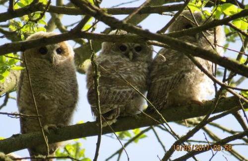 Ferienwohnung Rhönbergblick - Foto 36