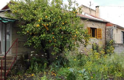 Casa da Rosa - Foto 14