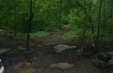 Secluded Watertree Tiny House near Old Hickory Lake – Private Deck, Trails & Breakfast - Foto 40