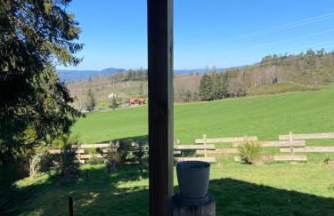 Chalet bois au calme, en lisière de forêt, balcons, sentiers balades Gérardmer & Alsace "Chalet Mon beau sapin" - Foto 24