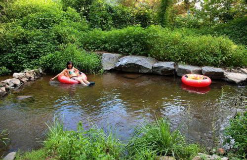Luxury Mountain Cabin Rental on Rockfish Gap River near Charlottesville, Virginia - Foto 21