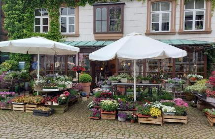 Fewo Dornröschen - Foto 18