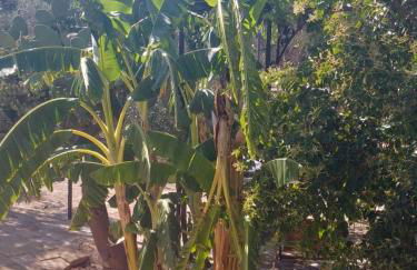 Masseria La Maestà - Ospitalità Rurale Famigliare - Foto 94