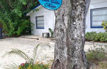 The Three Sisters - Pelican Crystal River FL - Foto 34