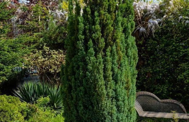 Botique Villa Maria Revas - Foto 32