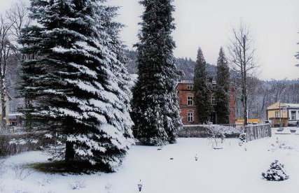 Kot Pocztowy - Foto 53