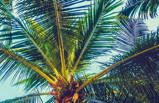 Serene Stay At Terra Verde Resort By Shine Villas 111 3 Bedroom Townhouse - Foto 54