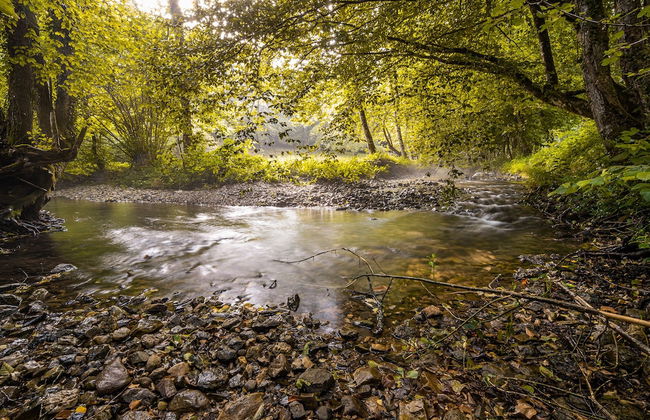 Vintage House Podliparska - Photo 43