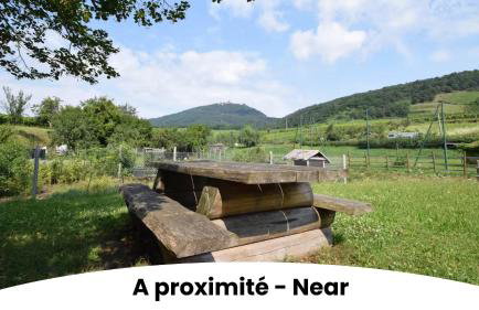 Les appartements au pied du Haut Koenigsbourg - Foto 12