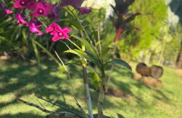 Lindo Sítio Estilo Moderno - Foto 57