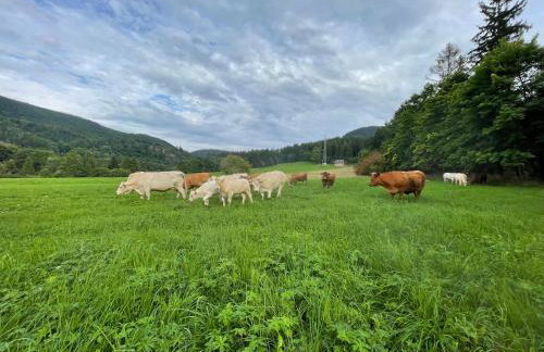 Apartament pod Stożkiem - Foto 10