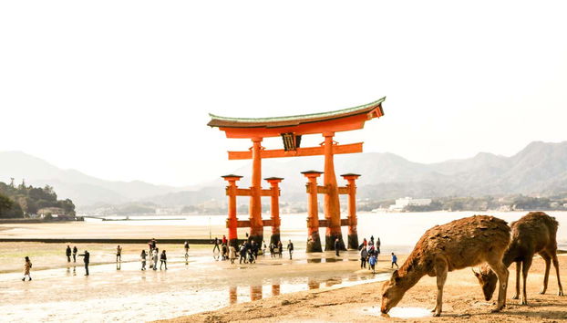 Tour por Hiroshima y Miyajima - Foto 2