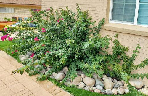 My Cozy Duplex B in the heart of West Side - Foto 7