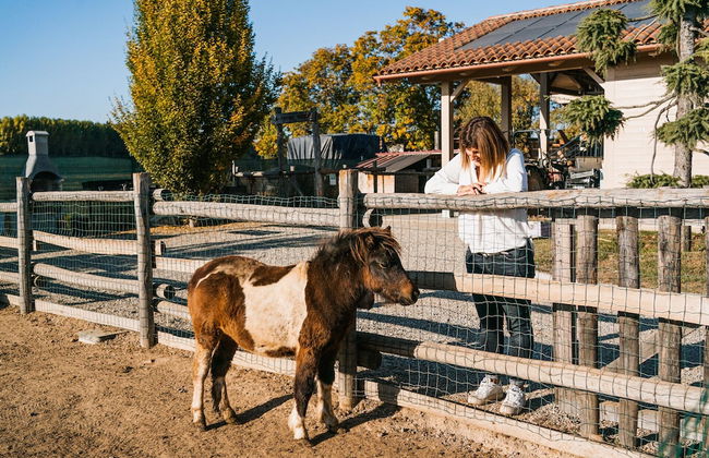 La Tenuta di Santo Stefano Agri Resort & Spa - Photo 60