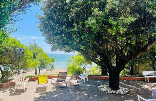 Villa GREG stupenda casa sulla spiaggia con accesso diretto al mare - Foto 1