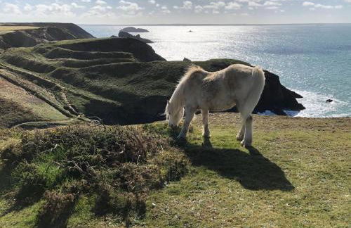 Tremanhire Cottage - Photo 18