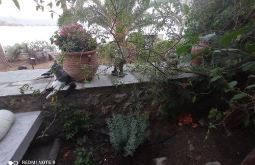 Natali's Villa by the sea - Foto 38