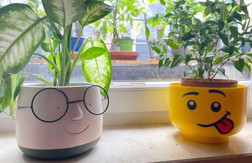 Like a house - lovely Maisonette with Cats - Foto 7