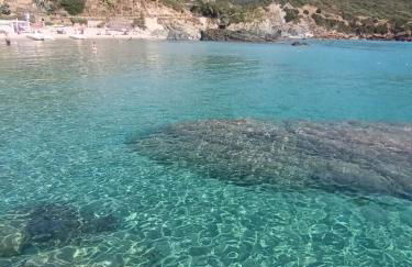 Villa Olga - Foto 73