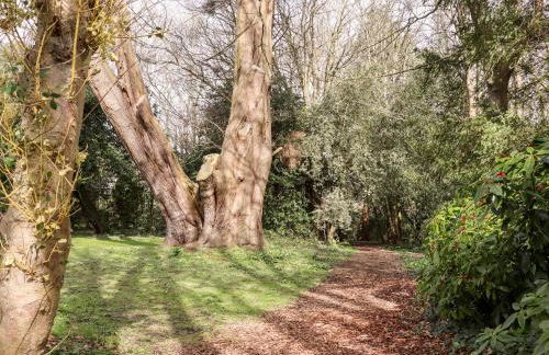 Lilyrose Cottage - Foto 32