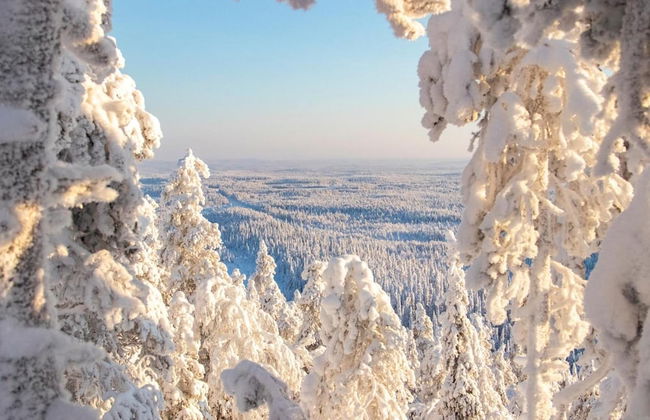 Rukariutta Apartments - Photo 46