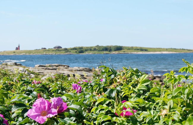 4 Star Holiday Home in Halmstad - Foto 12