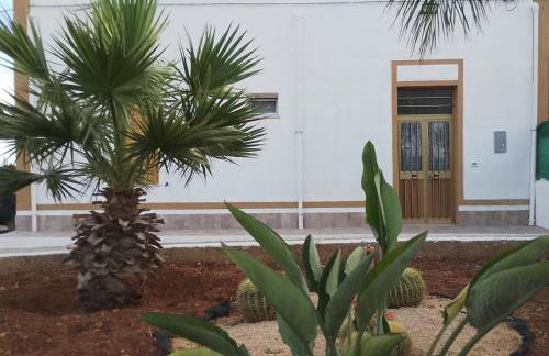 Casa Vacanza L'Agrumeto - Foto 23