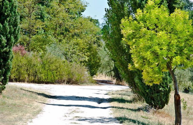 Agriturismo Terrasabina - Foto 53