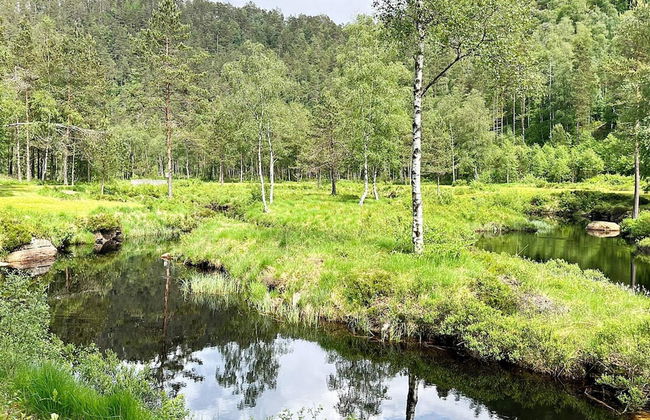 10 Person Holiday Home in Kvinesdal - Foto 2