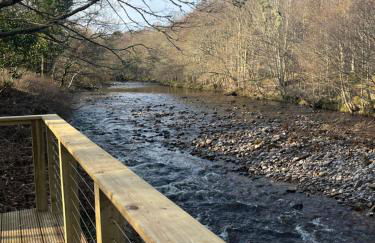 Rosevalley luxury Glamping grouse pods - Foto 12