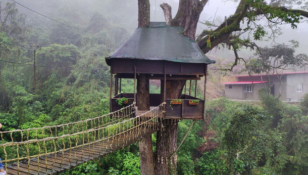 La Casita del Árbol