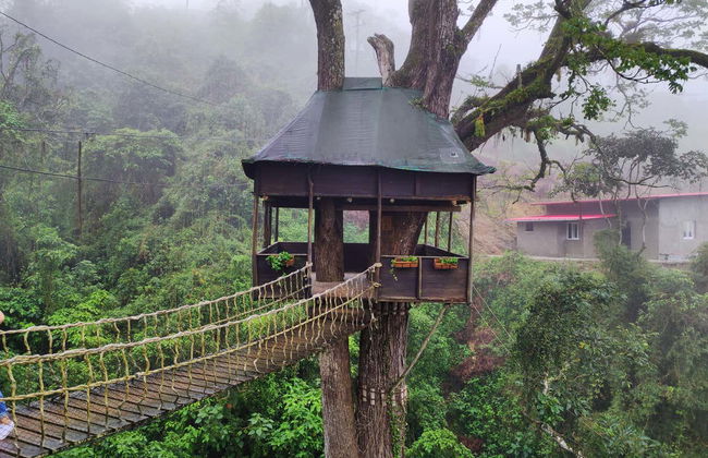 Excursión a Colonia Tovar - Foto 5