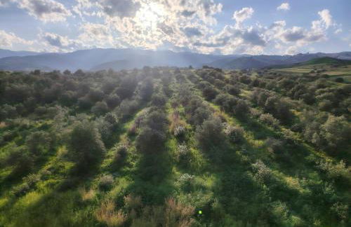 "La terrazza sul mare" - Foto 20